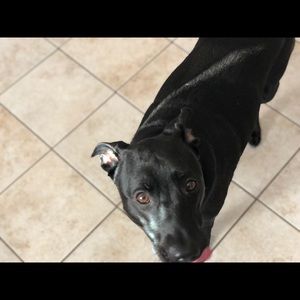 Meet your Posher, Jared